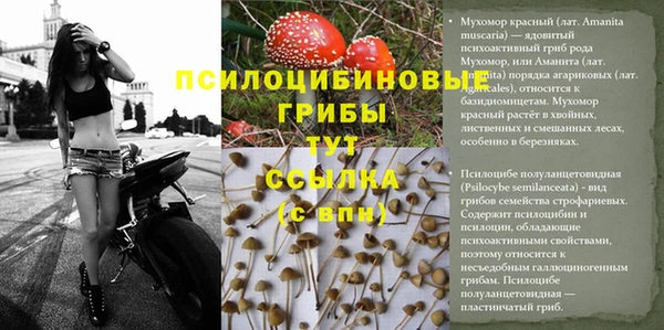 дмт Балабаново