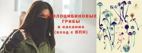 мяу мяу мука Арсеньев