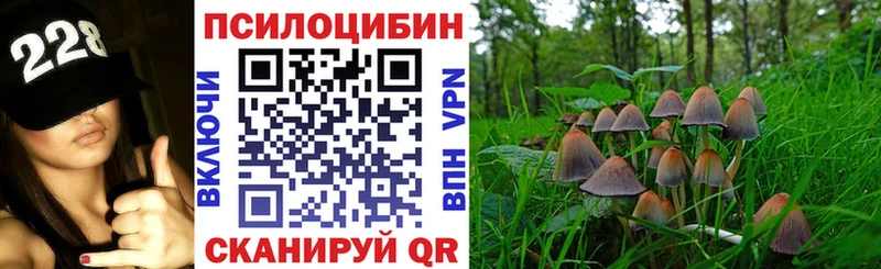 Галлюциногенные грибы Psilocybine cubensis  Купить где  Приморско-Ахтарск 